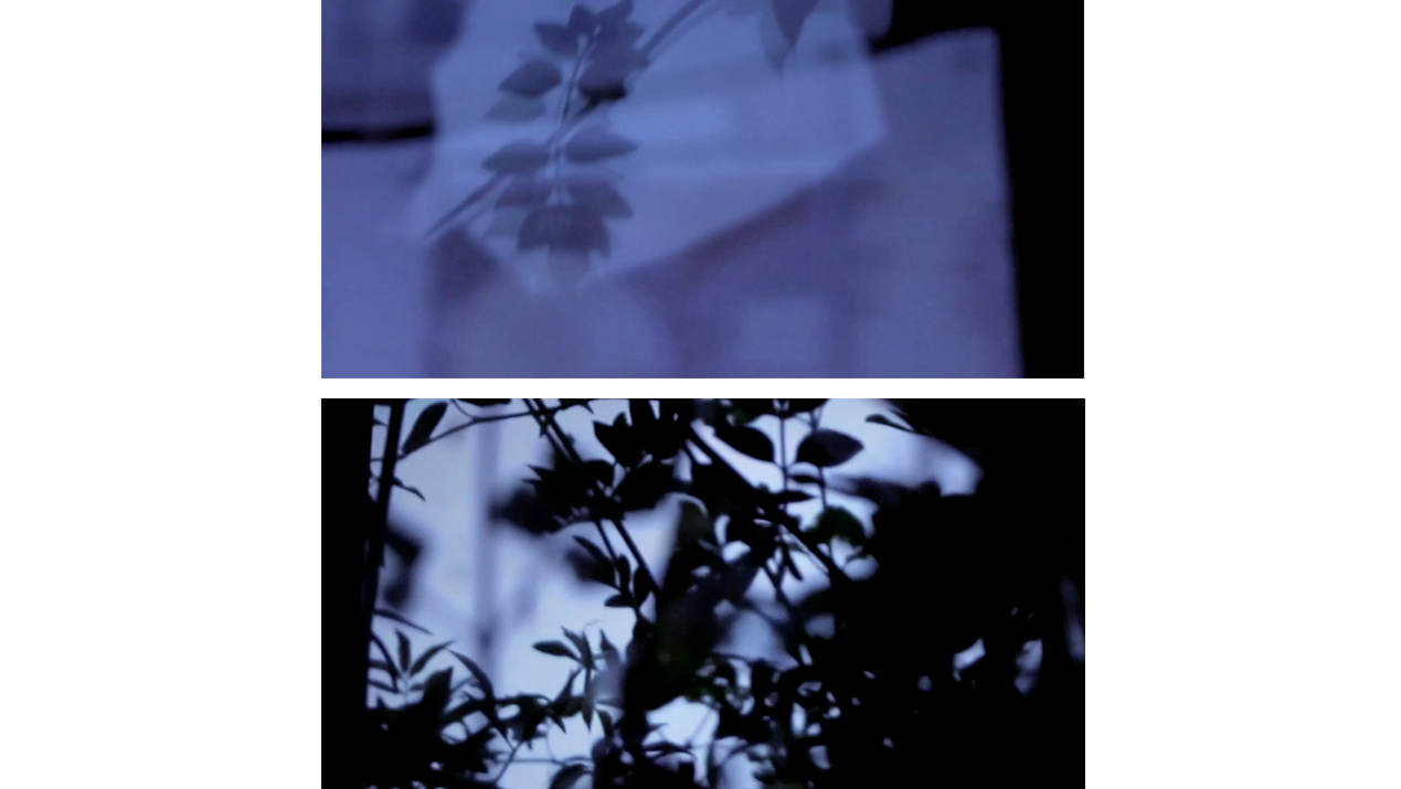 delautrec&ocirc;t&eacute;.