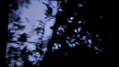 delautrec&ocirc;t&eacute;.