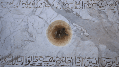 Des larmes pour les oiseaux. دموع للطيور